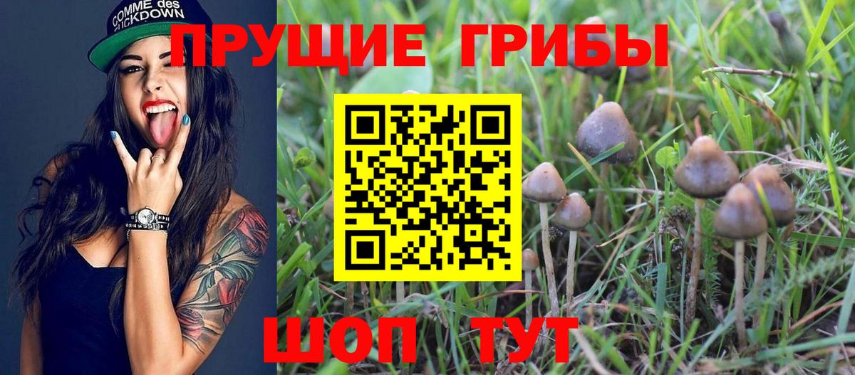 Псилоцибиновые грибы Cubensis  купить наркоту  Великие Луки  Вход с VPN  Галлюциногенные грибы мицелий 